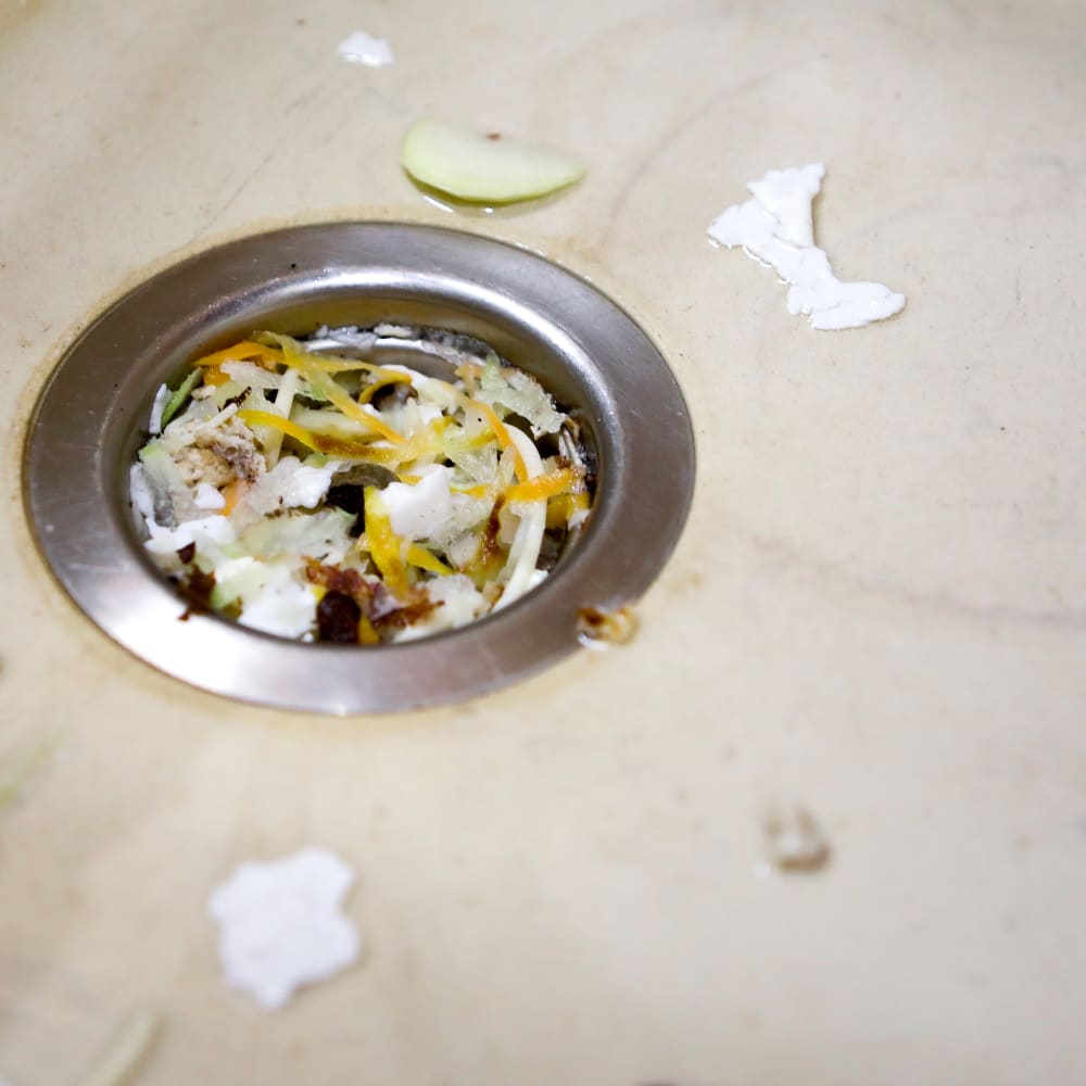 How to Get Rid of Drain Flies